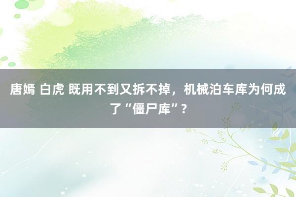 唐嫣 白虎 既用不到又拆不掉，机械泊车库为何成了“僵尸库”?