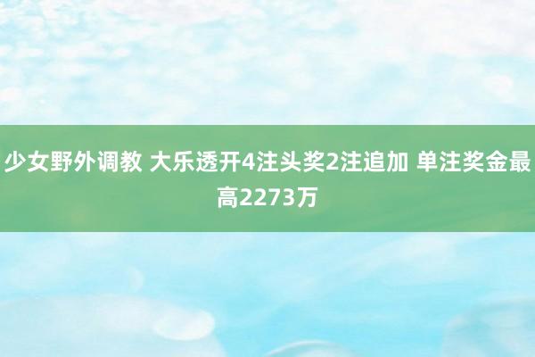 少女野外调教 大乐透开4注头奖2注追加 单注奖金最高2273万